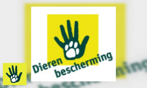 Dierenbescherming