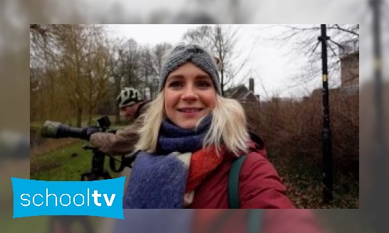 Plaatje Klokhuis Soortsafari - Op zoek naar de meeuw