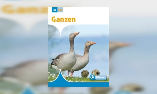 Plaatje Ganzen