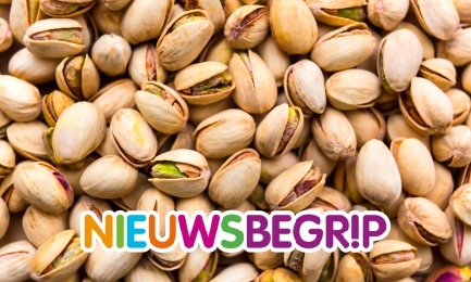 Plaatje Wereldwijd enorme vraag naar pistachenoten