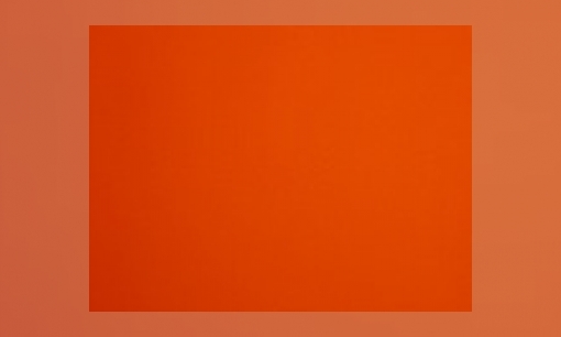 Wensen voor de nieuwe koning