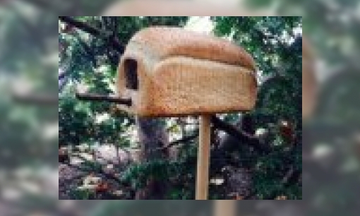 Plaatje Droomhuis voor vogels