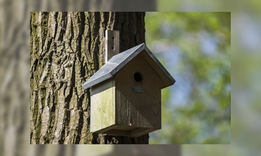 Plaatje Nestkastjes timmeren