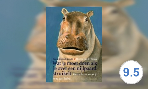 Wat je moet doen als je over een nijlpaard struikelt: gedichten waar je wat aan hebt