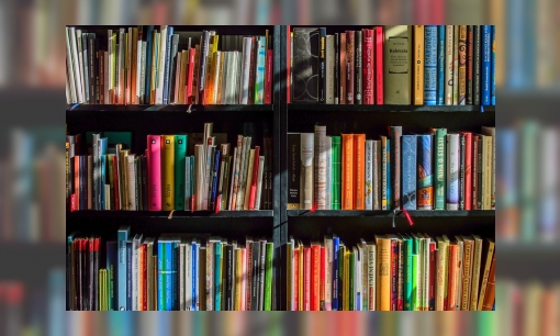 Plaatje Jeugdbieb challenge: boek lezen