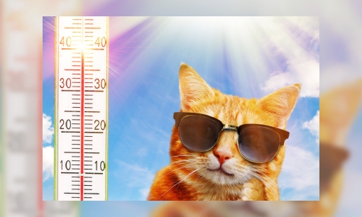 Superwarm in Nederland