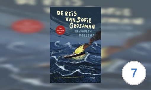 De reis van Sofie Grossman