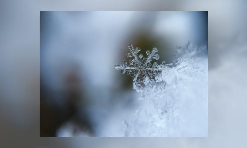 Jeugdbieb kerstvakantiechallenge: knutsel of teken een sneeuwvlok