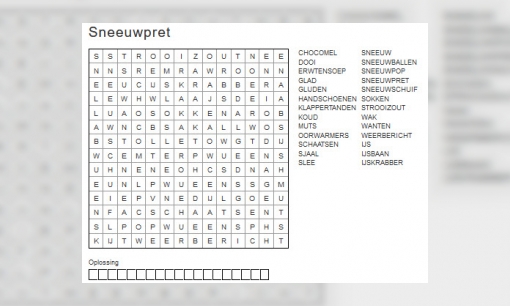 Plaatje Jeugdbiebchallenge: maak een woordzoeker