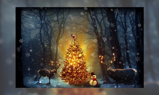 Jeugdbieb kerstchallenge: Luchtje scheppen, kerstbomen tellen