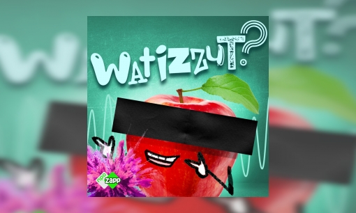 Plaatje Wattizut Podcast