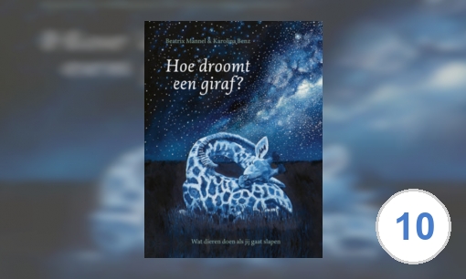 Hoe droomt een giraf? : Wat dieren doen als jij gaat slapen