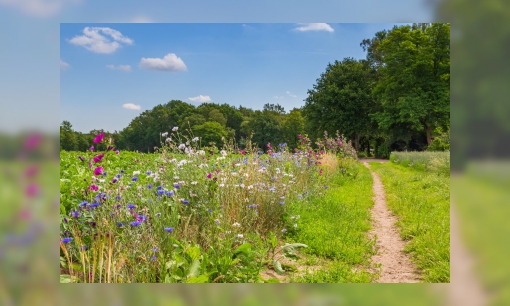 Biodiversiteitsdag