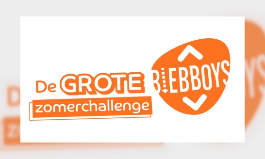 De Grote BiebBoys Zomerchallenge