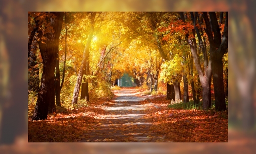 Begin van de herfst08:50 uur