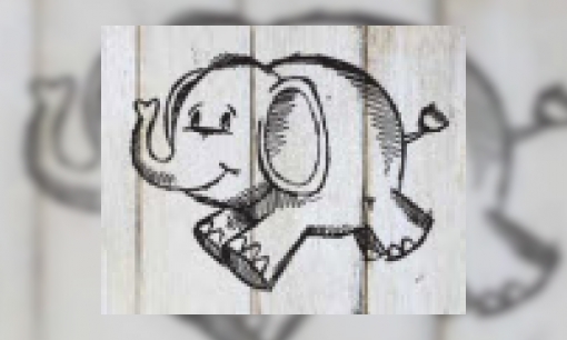 Bevalling olifant Indra live te volgen