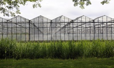 Plaatje Landbouw en tuinbouw