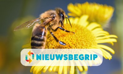 Plaatje Nationale Bijentelling