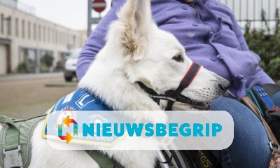 Plaatje Tekort aan hulphonden