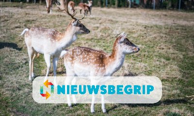 Plaatje Hertenkampen gaan verdwijnen