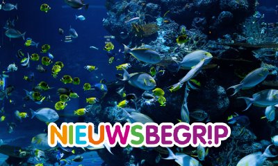 Plaatje VN-overeenkomst over bescherming oceanen