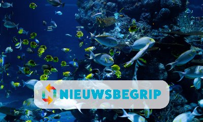 Plaatje VN-overeenkomst over bescherming oceanen