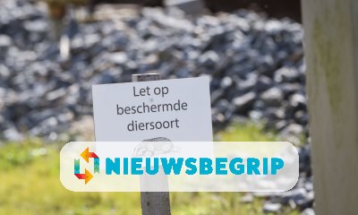 Plaatje Dassen bij het spoor ontregelen treinverkeer