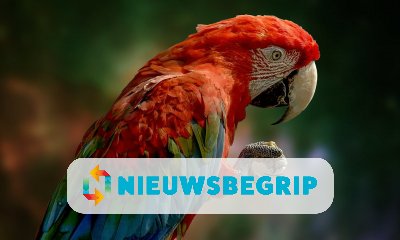 Plaatje Papegaai minder eenzaam door videobellen