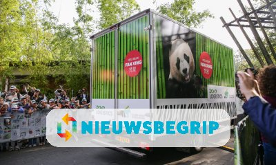Plaatje Reuzenpandajong Fan Xing naar China gebracht