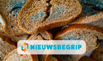 Plaatje Schimmels, goed of slecht?