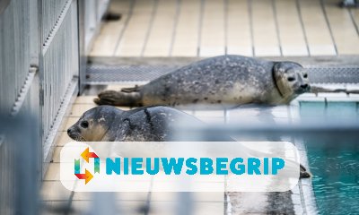 Plaatje Zeehondencentrum verhuist van Pieterburen naar Lauwersoog
