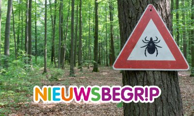 Plaatje Het is weer tekentijd