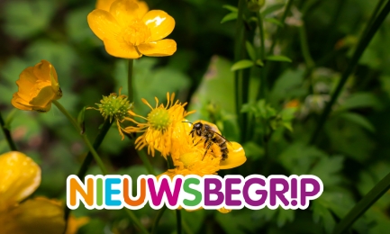 Hoe gaat het met de planten en dieren in Nederland?