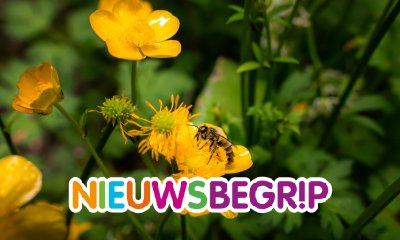 Plaatje Hoe gaat het met de planten en dieren in Nederland?