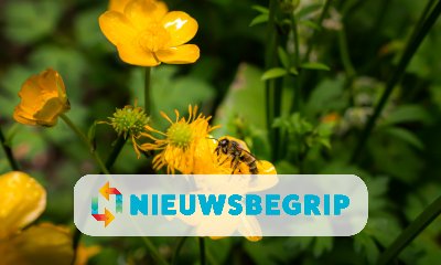Plaatje Hoe gaat het met de planten en dieren in Nederland?