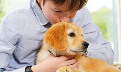 Plaatje Dieren: Mensen houden (van) dieren | groep 7/8
