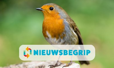 Plaatje Nationale tuinvogeltelling 2015