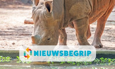 Plaatje Dierentuin Emmen verhuist
