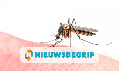 Plaatje Het zikavirus