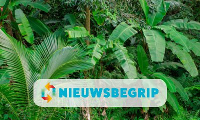 Plaatje 381 nieuwe dier- en plantensoorten ontdekt