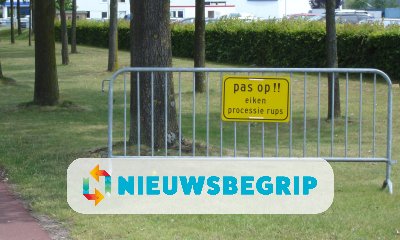 Plaatje Eikenprocessierups