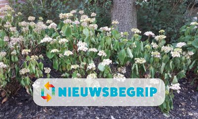 Plaatje Droogte in Nederland