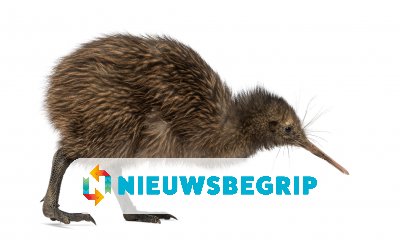 Plaatje Eerste kiwi geboren in Nederland