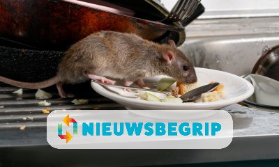 Plaatje Rattenplaag in Parijs