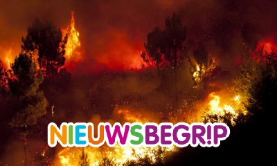 Plaatje Bosbranden woeden in Amazonegebied en op andere plaatsen