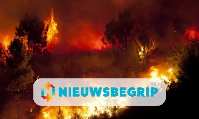 Plaatje Bosbranden woeden in Amazonegebied en op andere plaatsen