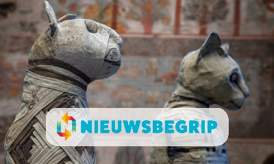 Plaatje Dierenmummies gevonden in Egypte