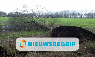 Plaatje Storm Ciara raast over Nederland