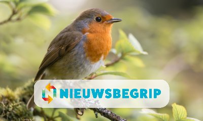 Plaatje De Nationale Tuinvogeltelling