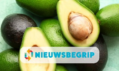 Plaatje Avocado